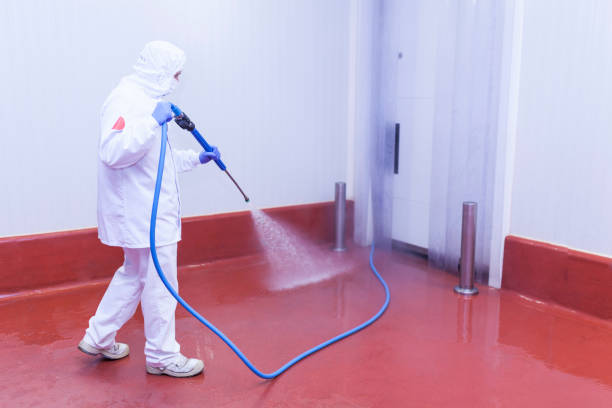Best Graffiti Removal  in Morgantown, KY